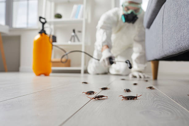 Post-Treatment Bed Bug Interceptor Monitoring in Canadian Lakes