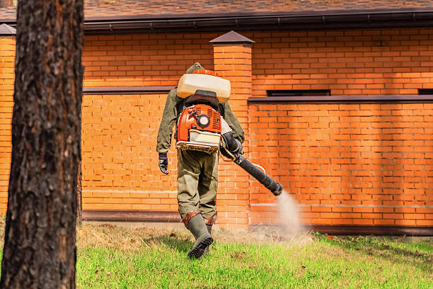 Bed Bug Clearance Verification and Documentation in Canadian Lakes